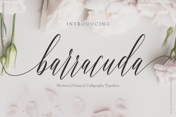Barracuda Script