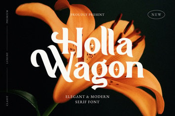 Holla Wagon - Elegant Stylish Serif