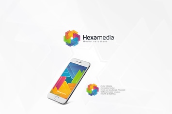 Hexagon Colorful Logo