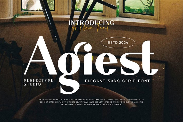 Agiest Elegant Sans Serif Font Typeface