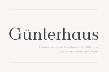 Gunterhaus - Modern & Transitional Serif