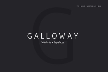 Galloway  - Modern Typeface + WebFont