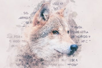 Mixed Art Photoshop Action
