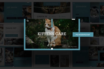 Kittens Care - Powerpoint Template