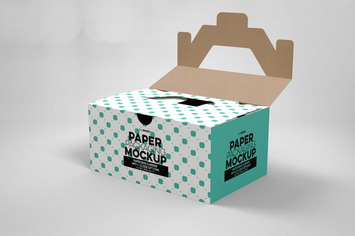Paper Carrier with 2 Closure Options