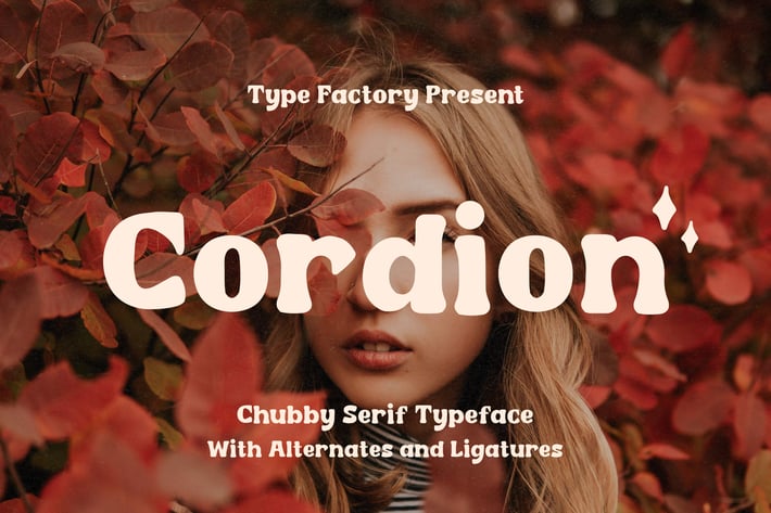 Cordion - Chubby Serif Typeface