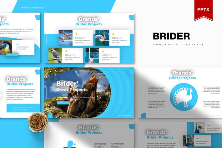 Brider | Powerpoint Template