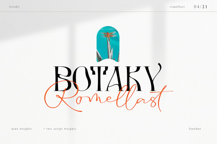 Botaky Romellast