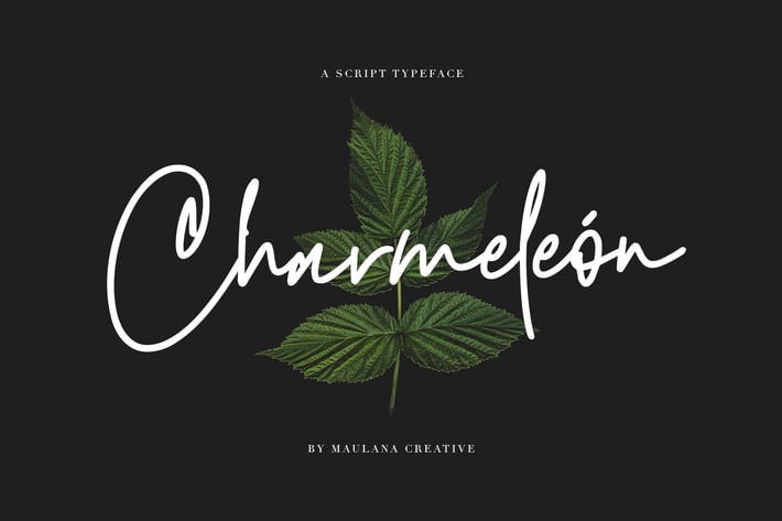 Charmeleon Script Typeface