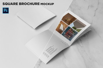 Square Brochure Cover & Open Pages Mockup