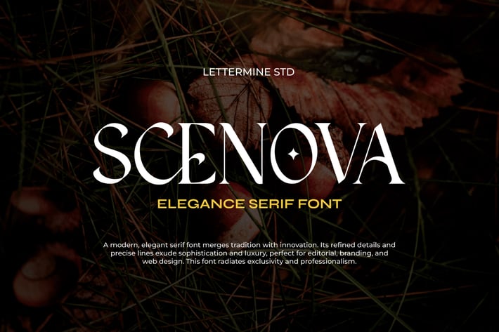 Scenova - Elegant Serif