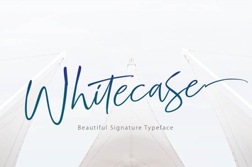 WHITECASE - Script Font