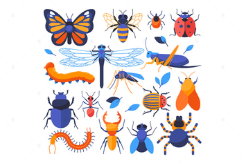 Insects Collection - Set of Flat Elements