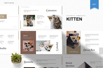 Kitten | Keynote Template
