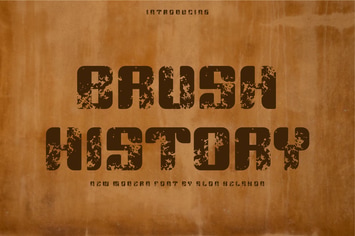 Brush History
