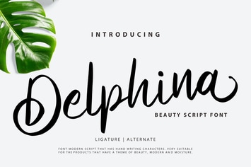 Delphina | Beauty Script Font