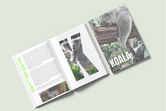 Book - Mockup