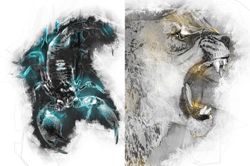 Flex 2 Photoshop Action