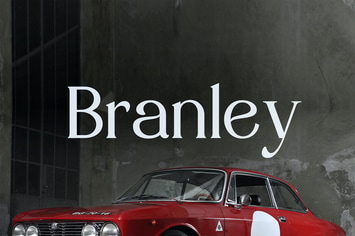 Elegant Serif Font