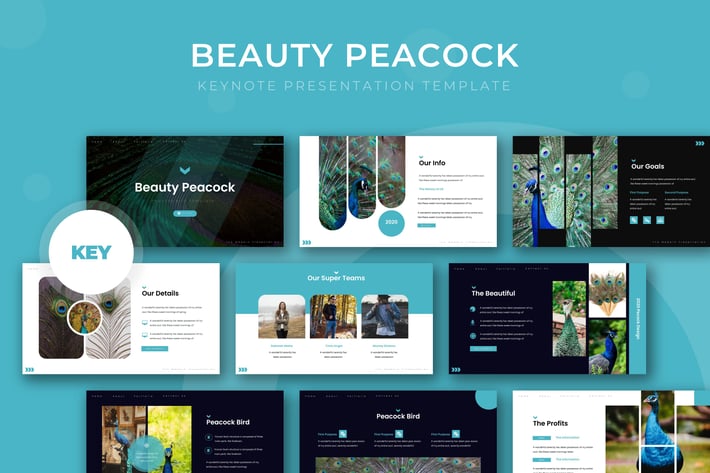 Beauty Peacock - Keynote Template