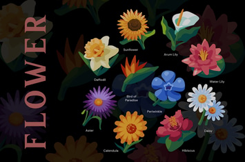 Flower