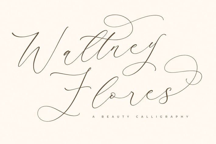 Waltney Flores Modern Calligraphy Font