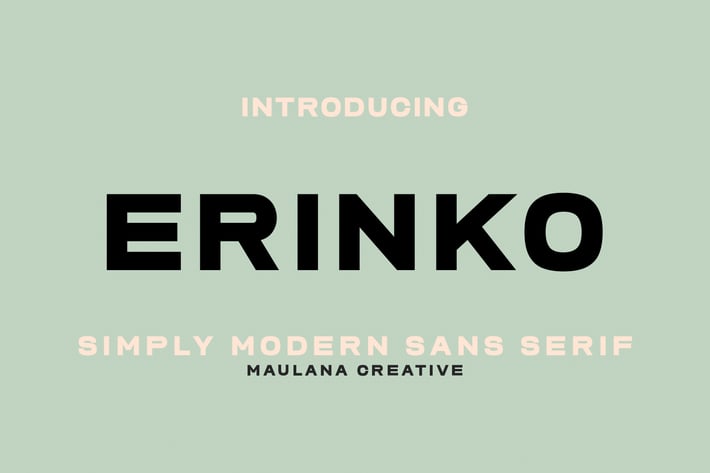 Erinko Simply Modern Sans Serif