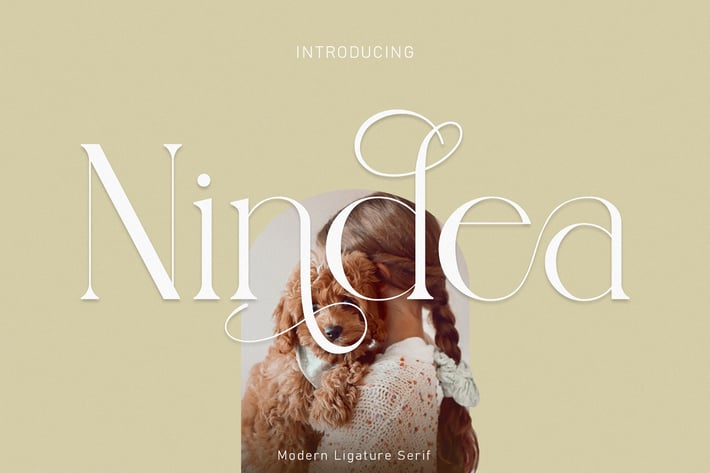 Nindea Modern Ligature Serif