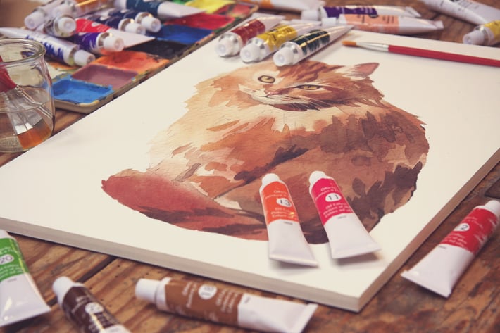 Canvas View