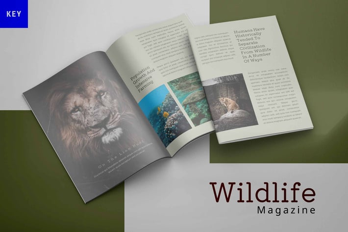 Wildlife - Magazine Keynote Template