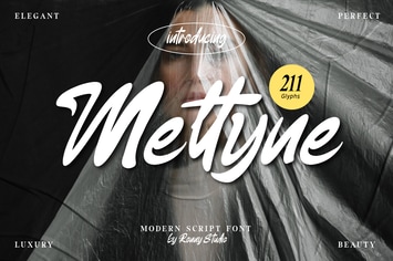 Meltyne - Modern Script Font
