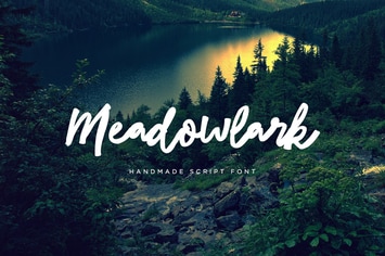 Meadowlark