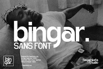 Bingar - Modern Sans Display Font