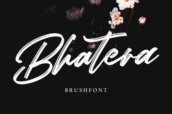 Bhatera