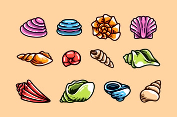 Cartoon Sea Shell Collection 