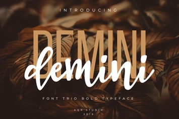 Demini Font Trio with ornamen