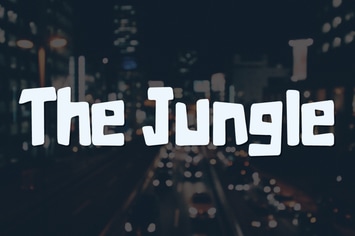 The Jungle  Typeface