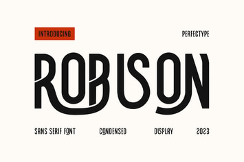 Robison Modern Ligature Futuristic Sans Serif Font