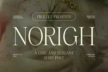 Norigh Font