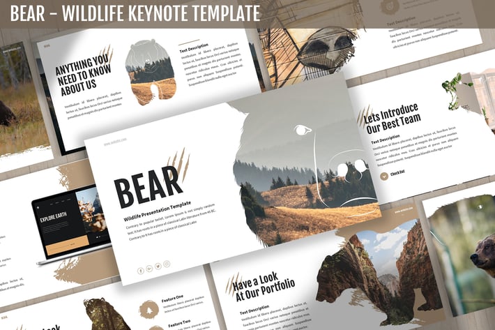 Bear - Wildlife Keynote Template