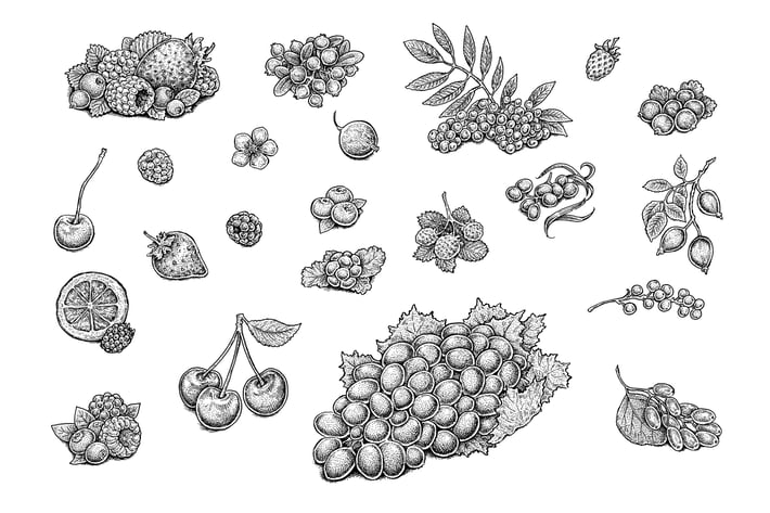 Berries Set