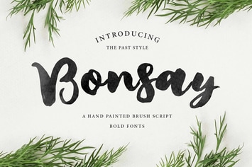 Bonsay Brush + Webfonts Fonts
