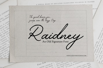 Raidney