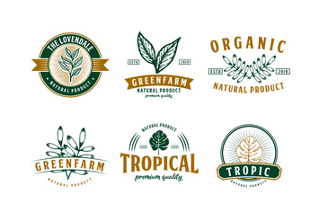 Set of Nature and Tropical Logo Badge