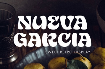Nueva Garcia – Retro Display