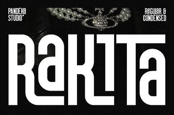 Rakita - Modern Decorative Sans