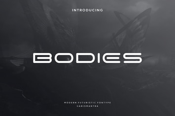 Bodies