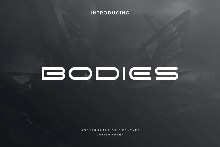 Bodies