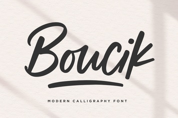 Boucik - Modern Calligraphy Logo Font
