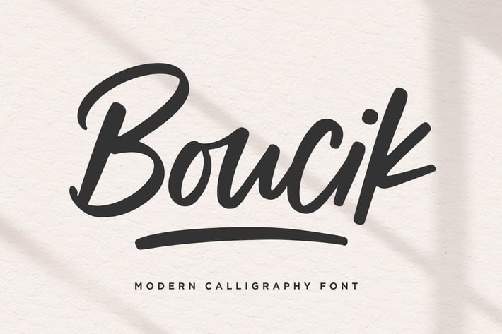 Boucik - Modern Calligraphy Logo Font